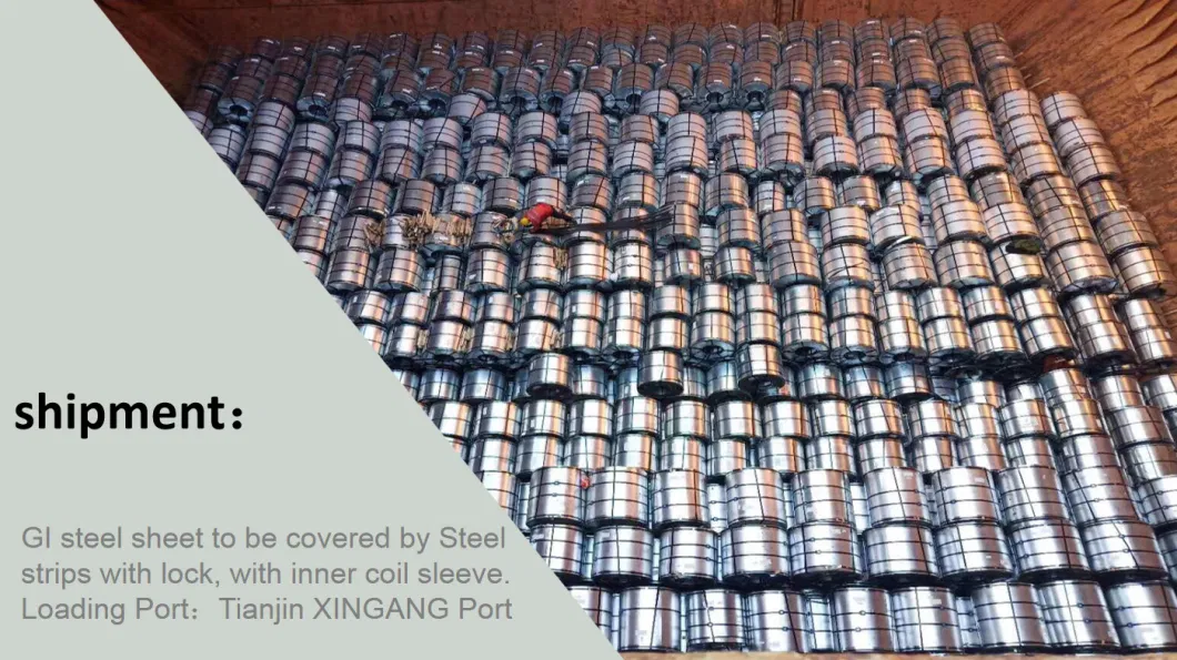 Wholesale Q195/Dx51d/SGCC/ASTM/G550/S350gd/Ss340/G60/G90/ Hot/Cold Rolled Zinc Coated Galvanized/Galvalume//Corrugated/PPGL/Gi /Gl/ Steel Coil/Sheet/Plate Steel