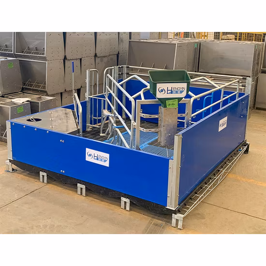 China Lieferant Prime Quality Aluzinc Steel Coil Gl Coil Gi Steel Hot DIP Galvanized 55%